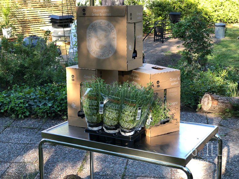 IMG 3821 arets stora grillfest 2018
