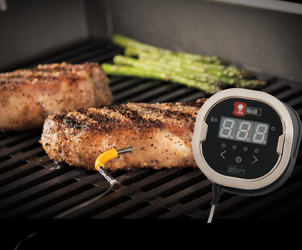 weber igrill