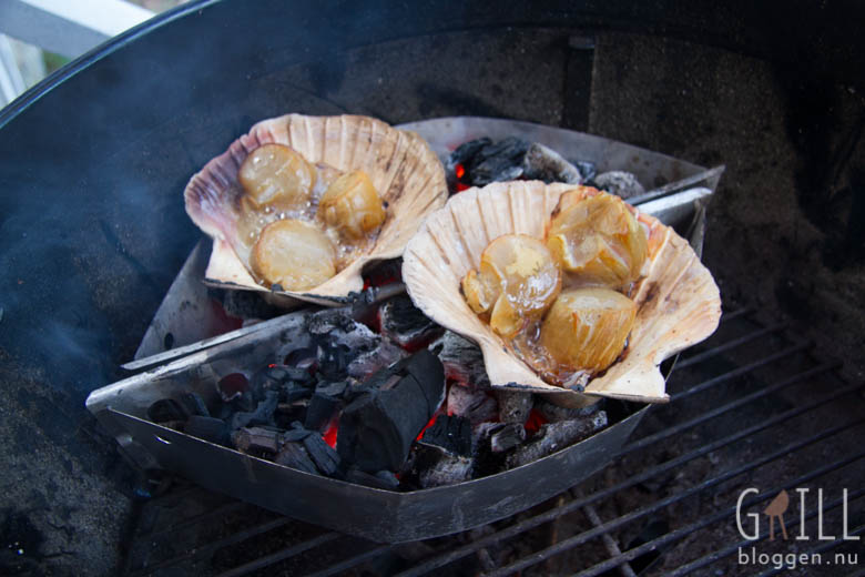 Pilgrimsmusslor på grillen