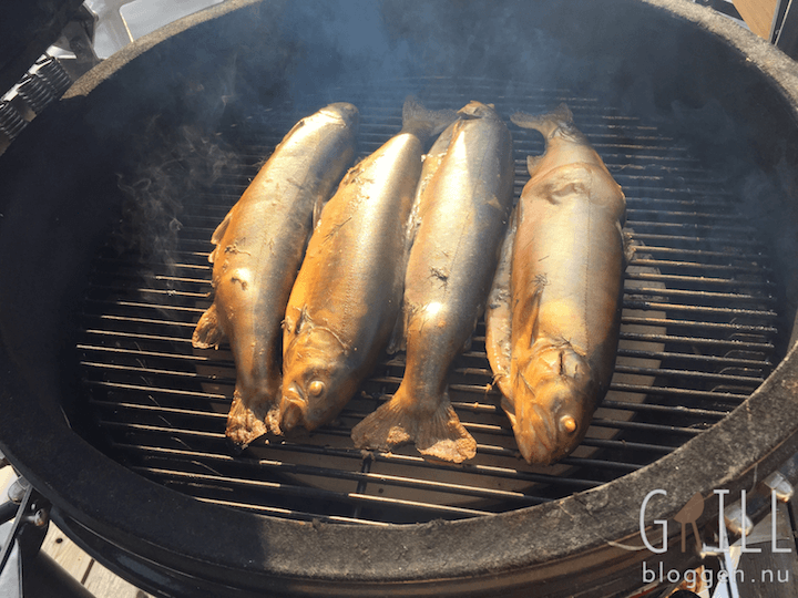 monolith rökt röding i keramisk grill